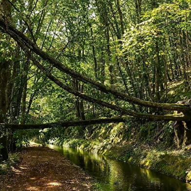 La Rigole d'Yonne à VTT