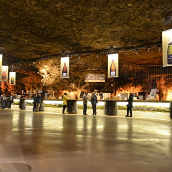 Caves Bailly-Lapierre - SAINT-BRIS-LE-VINEUX