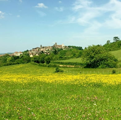 Escapade à vélo - Auxerre - Vézelay - Le Sud d'Auxerre au Fil de l'Eau