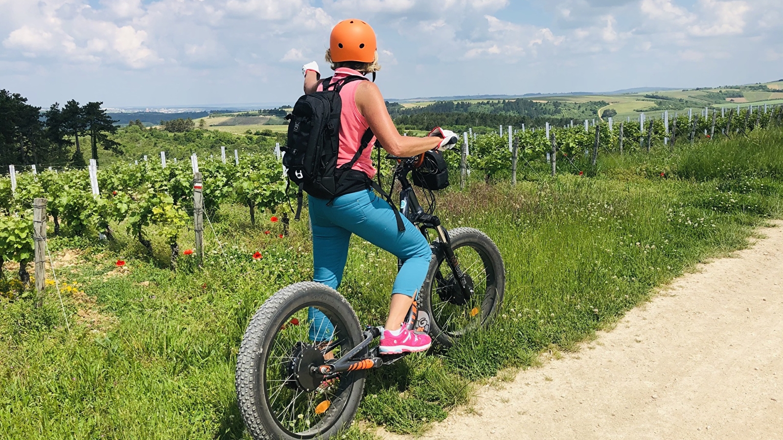 Balade en E-Trott à Saint-Bris-Le-Vineux - Vignobles et Sensations